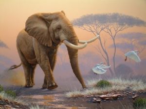 "Elephant 04"
