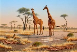 "Giraffe 01"