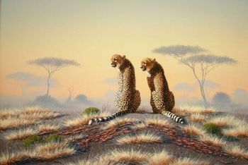 "Cheetah 01"