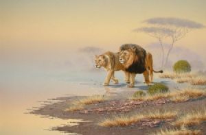 "Lion 02"