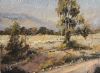 "Calm Wayside Scene - Tarkastad"
