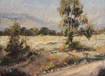 "Calm Wayside Scene - Tarkastad"