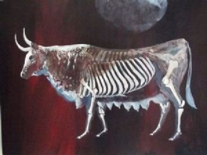 "Nguni African Fertility"