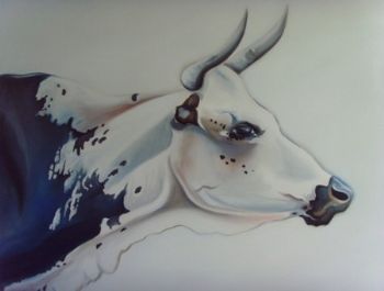 "Black Nguni"