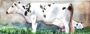 "Cow and Calf"