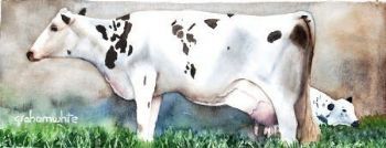 "Cow and Calf"