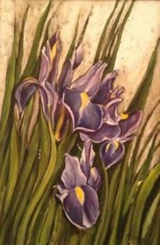 "Iris"