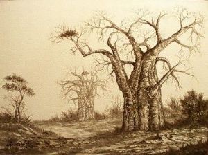 "Baobabs"