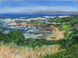 "Stanfordscove Day at the Beach"