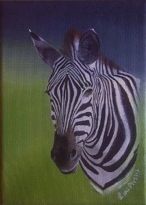 "Zebra 5"