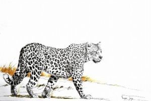 "Leopard on the Move"