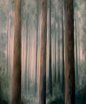"Misty Forest"