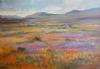"Namaqualand"