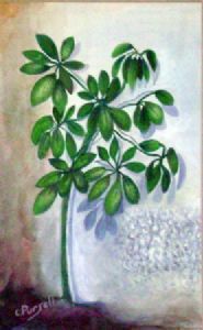 "Plant Shadow"