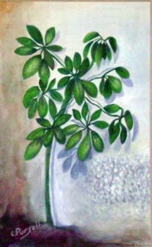 "Plant Shadow"