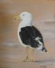 "Seagull 4"