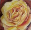 "Yellow Rose"