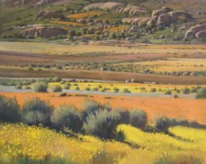 "Garies Mountain Route"