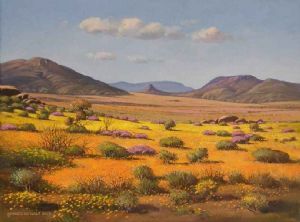 "Namaqua Panorama "