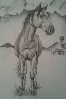 "Horse"