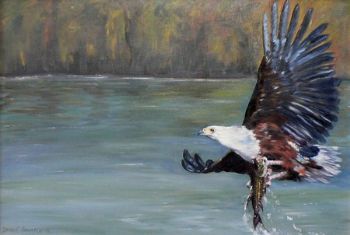"Fish Eagle"