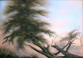 "Fallen Tree"