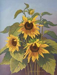 "Sunflower Splash "