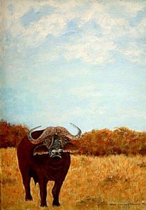 "African Buffalo"