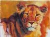 "Lioness"