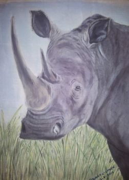 "White Rhino Cow"