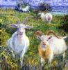 "Goats Big"