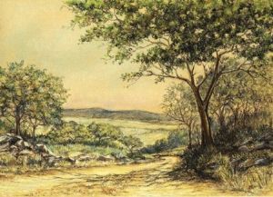 "Bosveld"