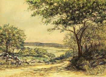 "Bosveld"