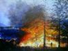 "Bushfire in Clarens"