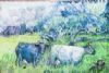 "Cows"