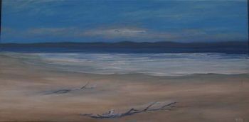 "Wild Coast Magic"