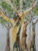 "Gum Trees"