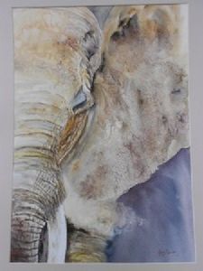 "Dust Bath"