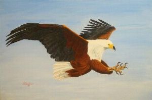 "Fish Eagle"