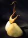 Swan Song
