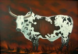 "Nguni Bull 4"