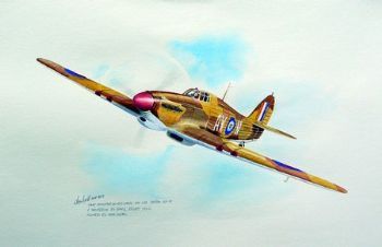 "SAAF 1 SQ Hurricane -Tom Meek"