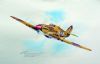 "SAAF 1 SQ Hurricane -Tom Meek"