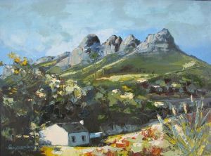 "Somerset West Landscape 1"