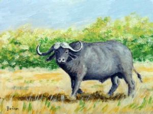 "Buffalo"