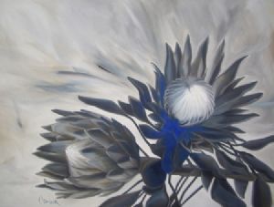 "Protea"