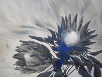 "Protea"