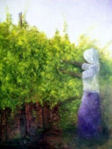 "Harvesting our Grapes"