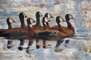 "Brown Ducks on Water"