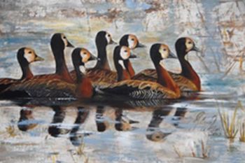 "Brown Ducks on Water"